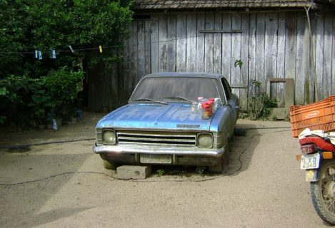 Coleção Abandonada