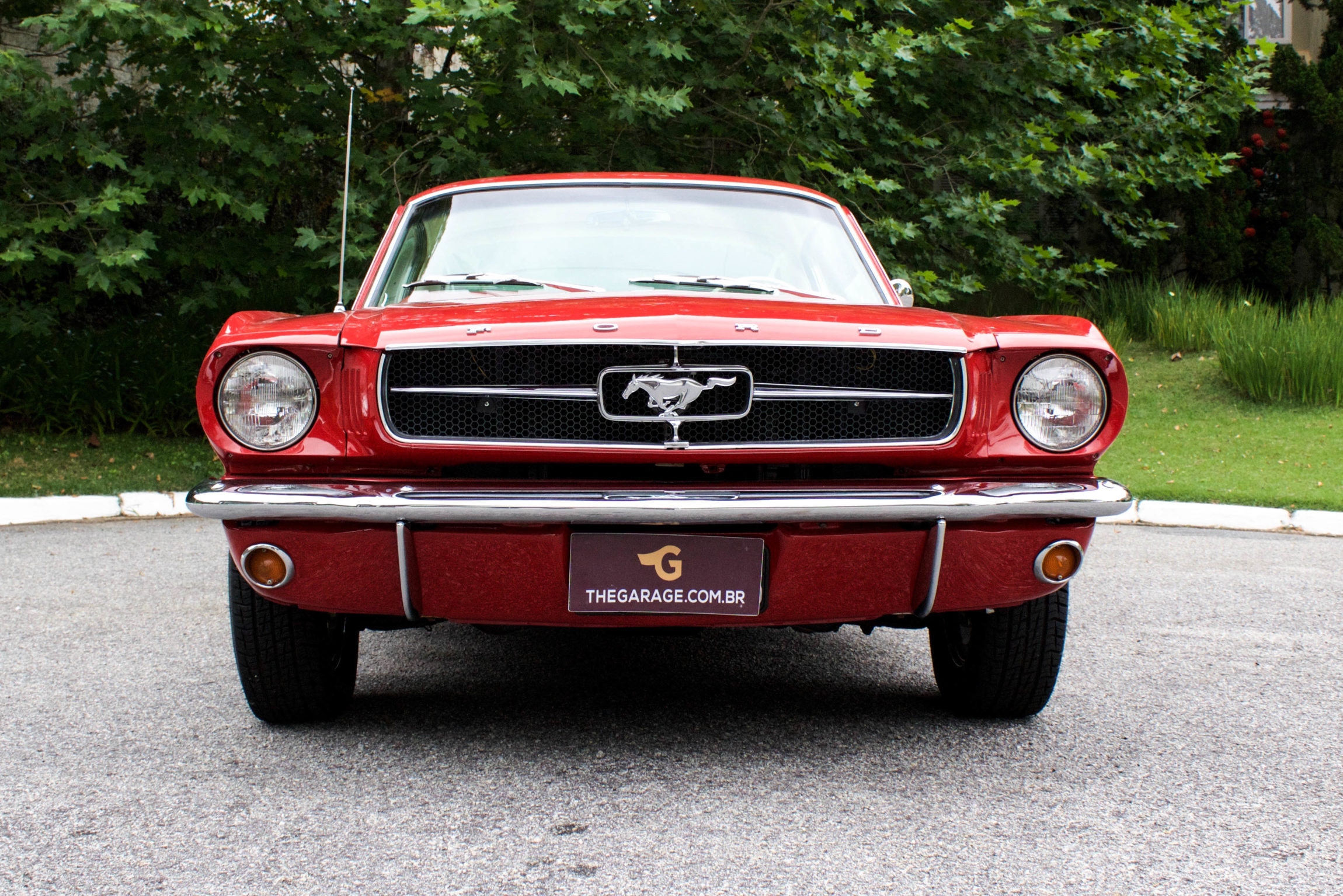 1965 Mustang Fastback 2+2