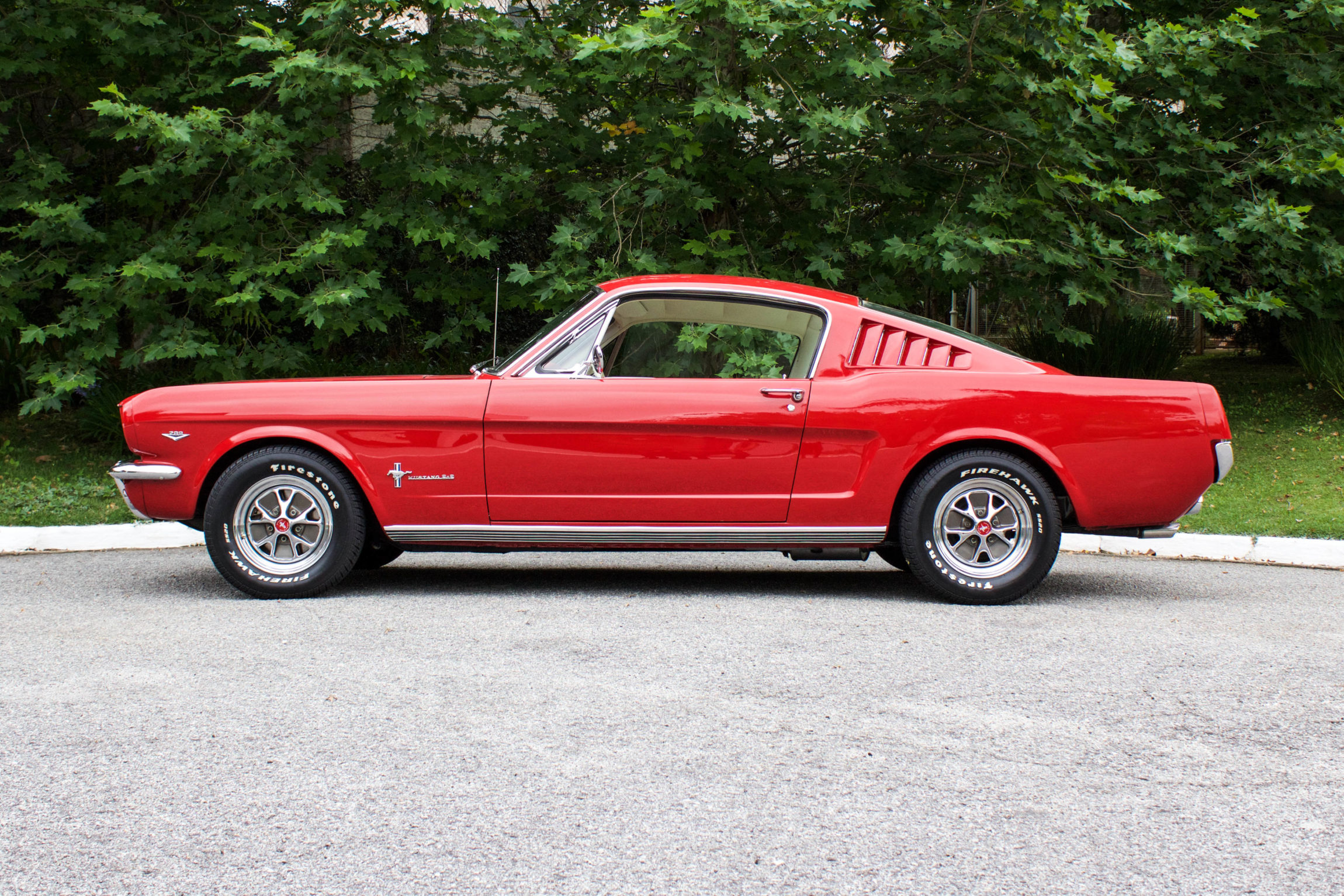 1965 Mustang Fastback 2+2