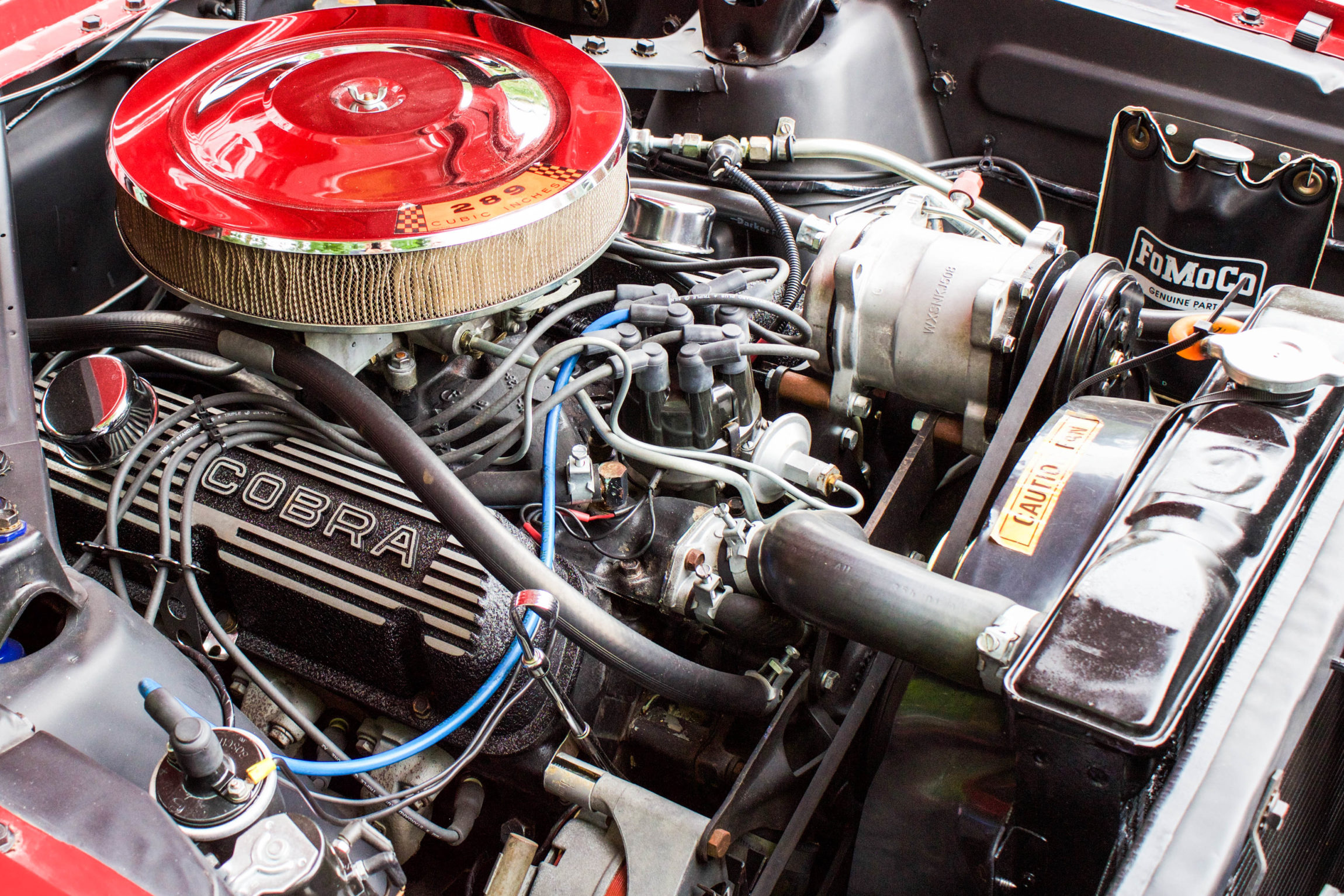 1965 Mustang Fastback 2+2