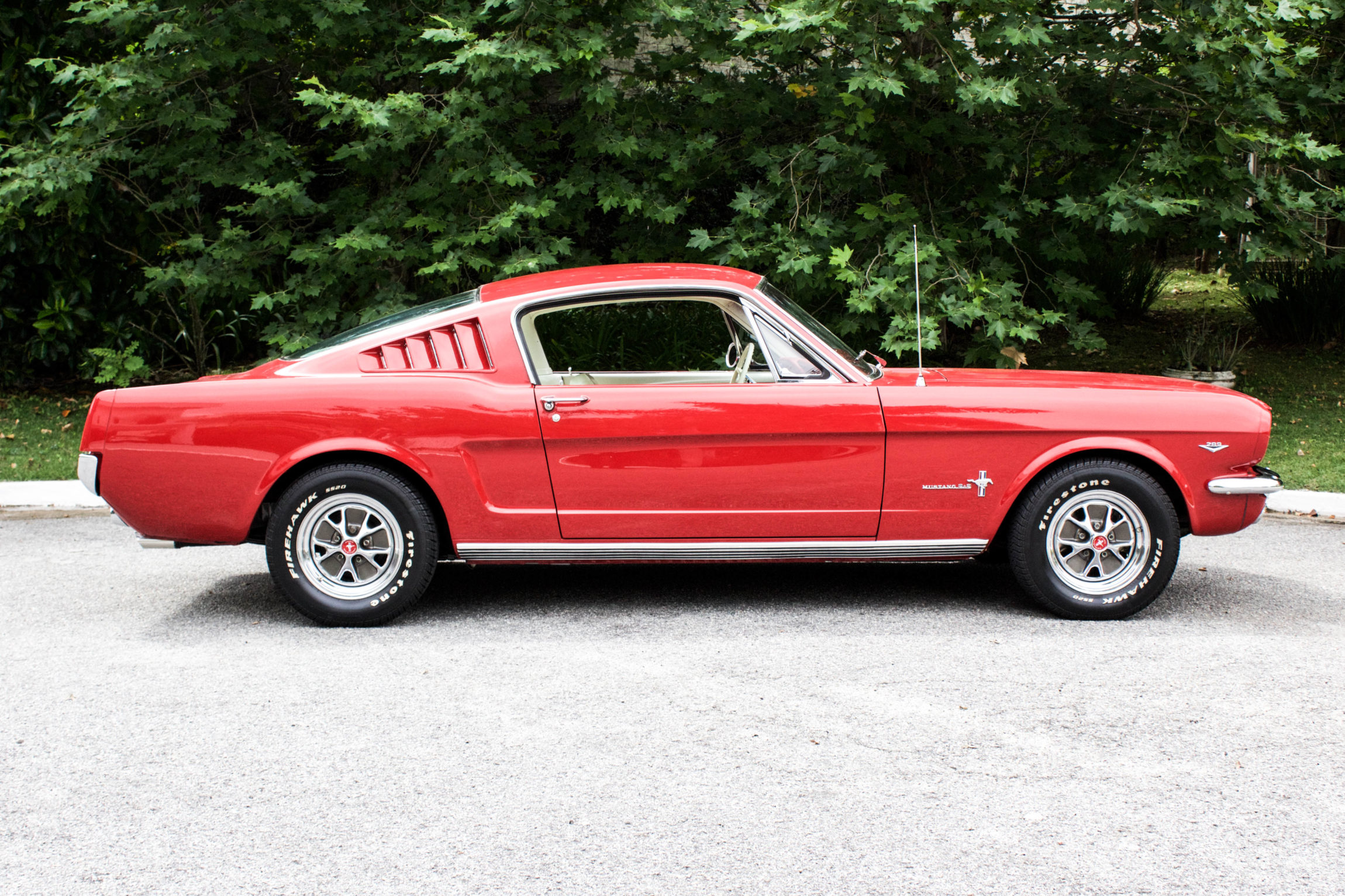 1965 Mustang Fastback 2+2