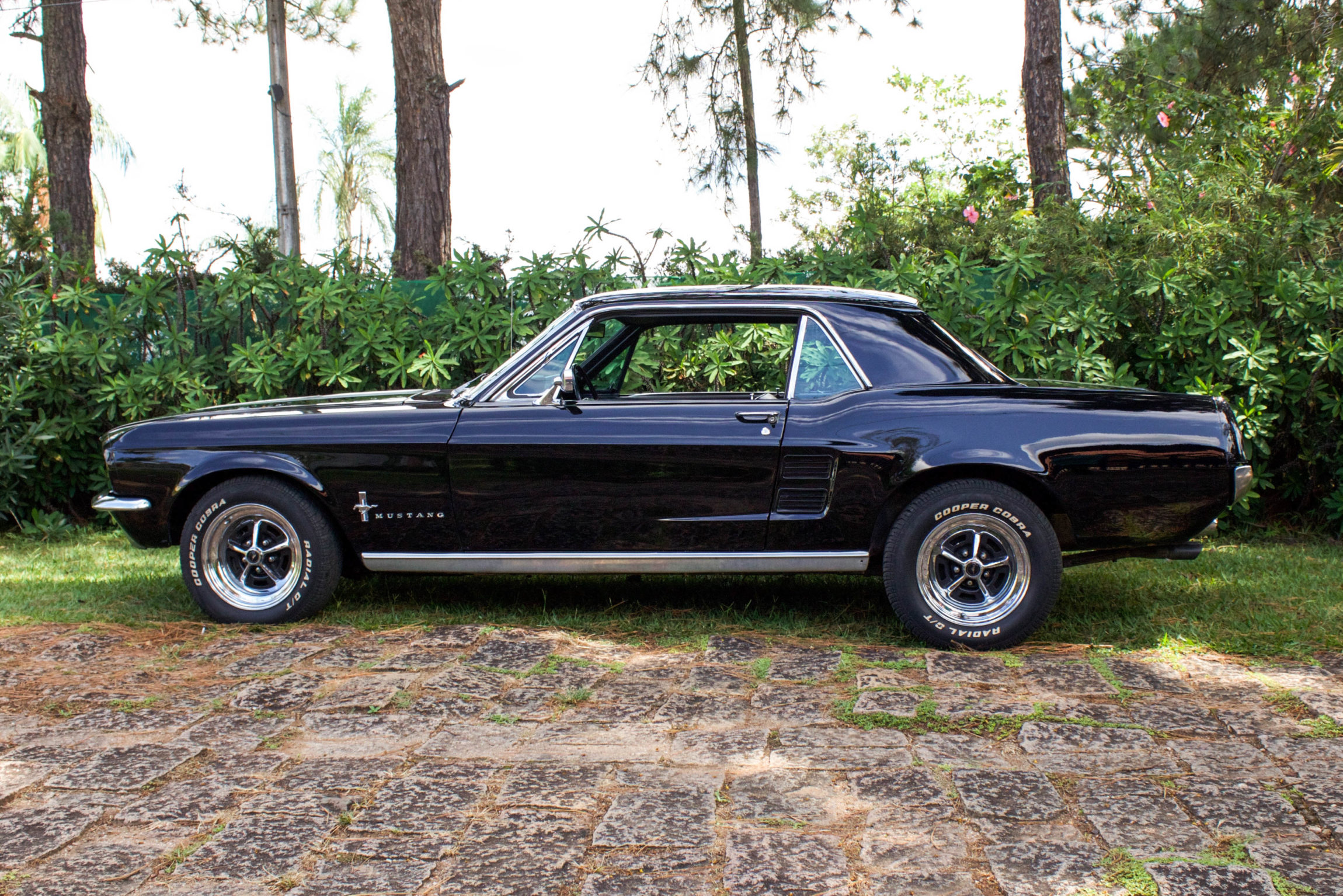 1967 Mustang Hard Top