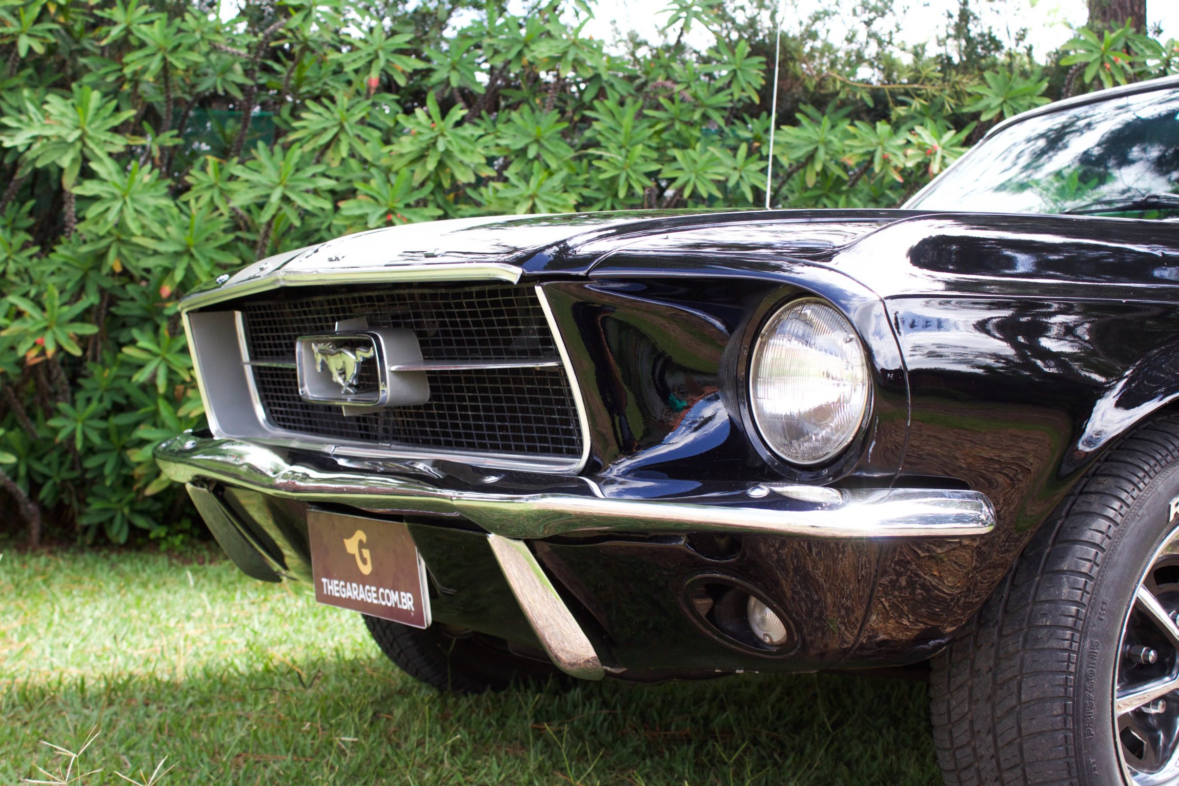 1967 Mustang Hard Top