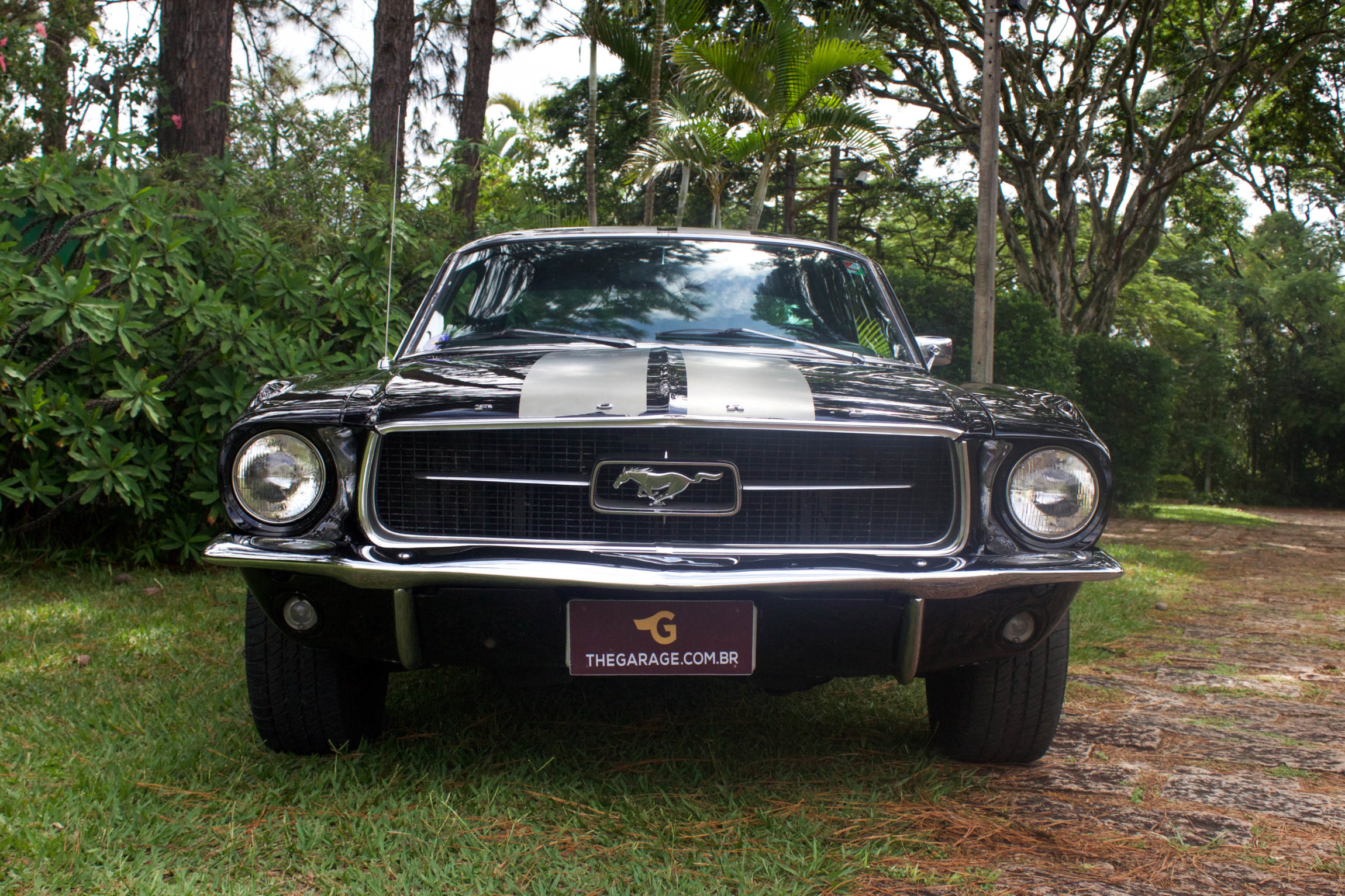 1967 Mustang Hard Top