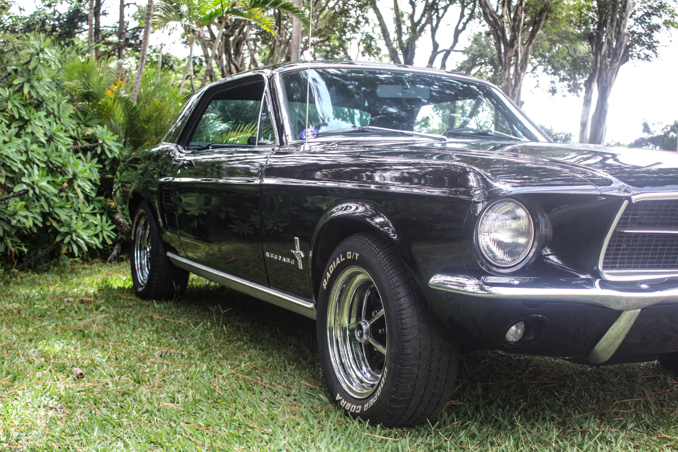 1967 Mustang Hard Top