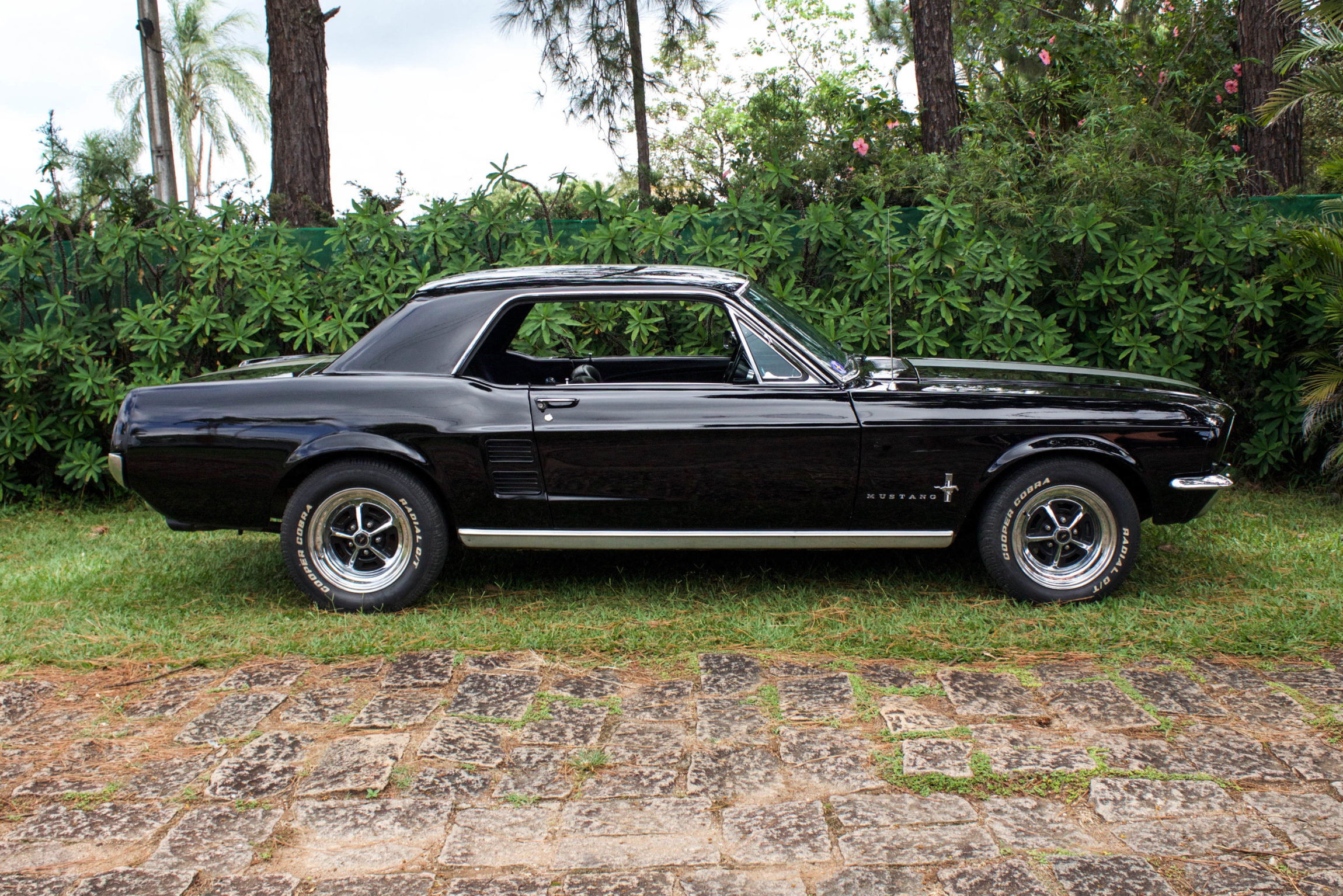 1967 Mustang Hard Top