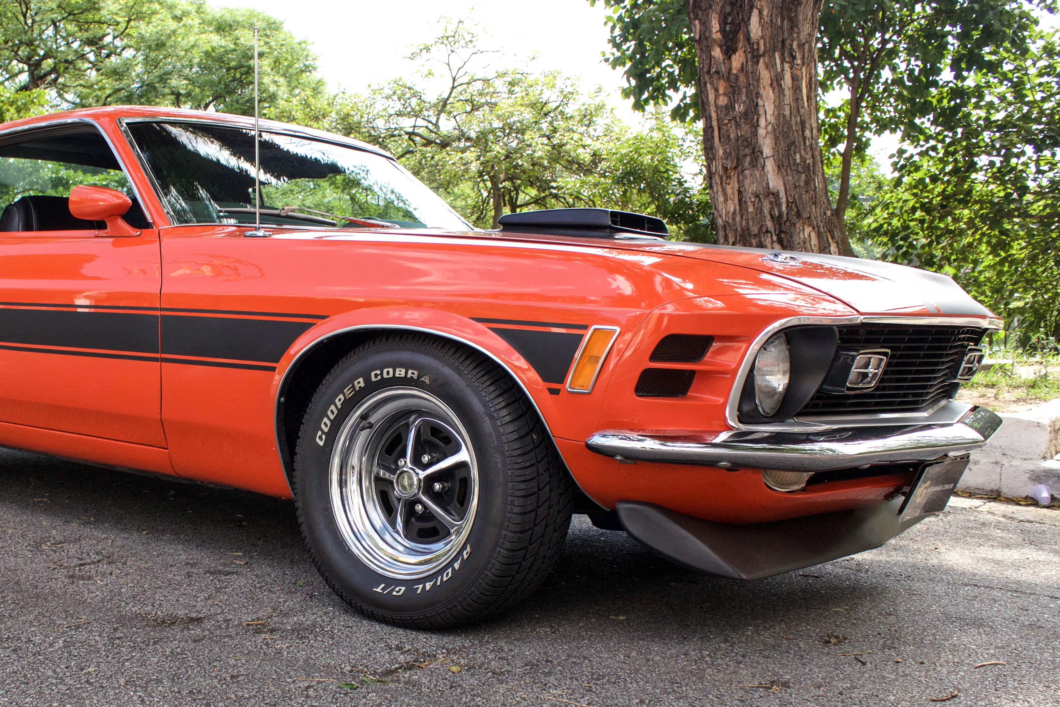 1970 Ford Mustang Fastback Mach1