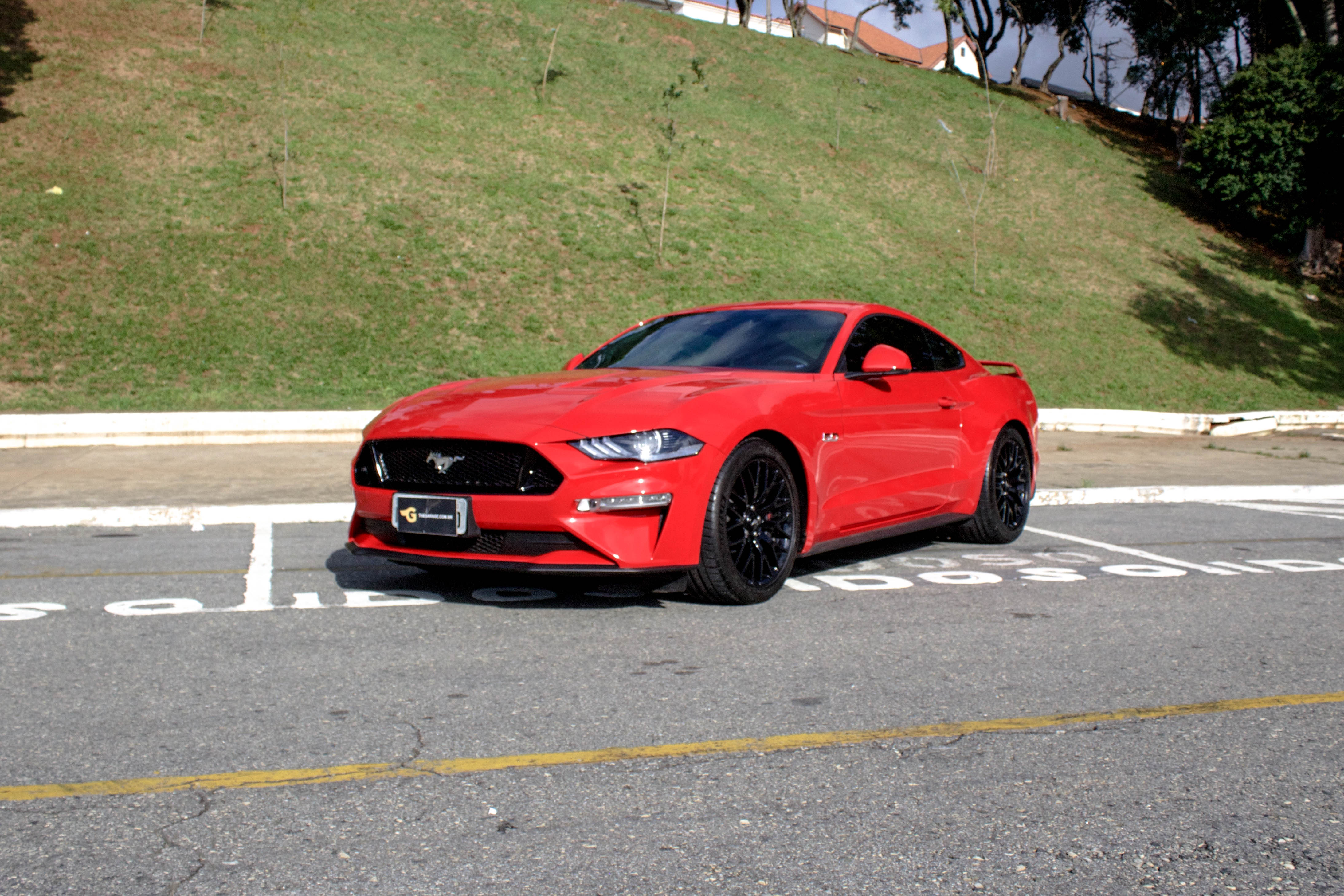 2019 Ford Mustang