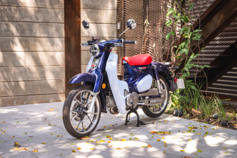 2019 Honda cub a venda the garage