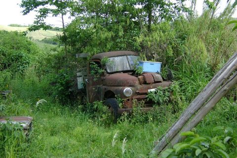 Coleção Abandonada