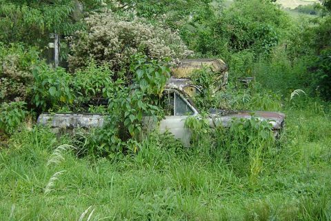 Coleção Abandonada