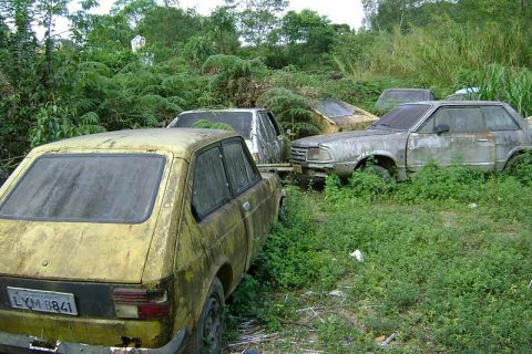 Coleção Abandonada