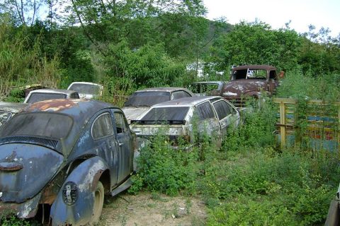 Coleção Abandonada