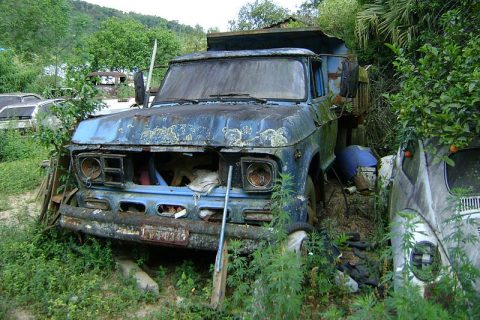 Coleção Abandonada