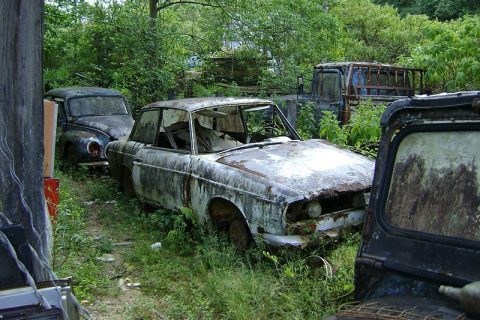 Coleção Abandonada