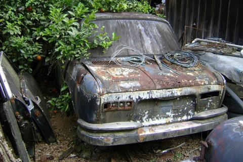 Coleção Abandonada