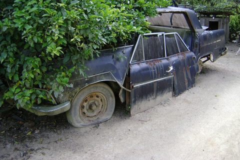 Coleção Abandonada