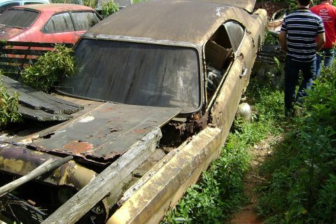 Coleção Abandonada