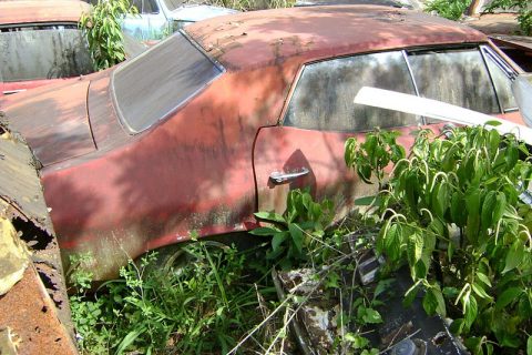 Coleção Abandonada