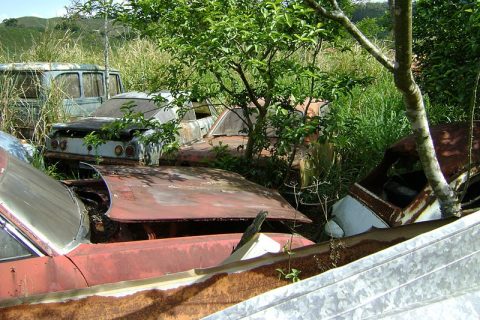 Coleção Abandonada