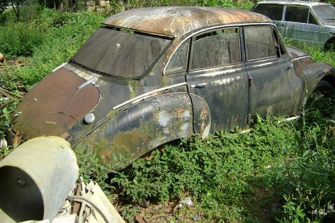 Coleção Abandonada
