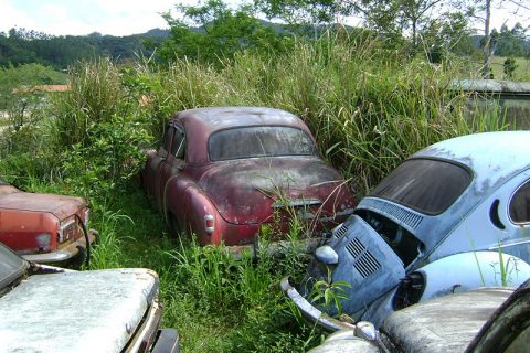 Coleção Abandonada