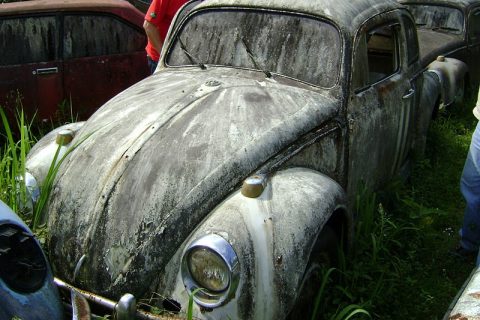 Coleção Abandonada