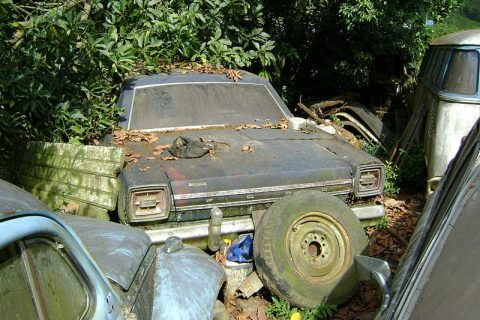 Coleção Abandonada
