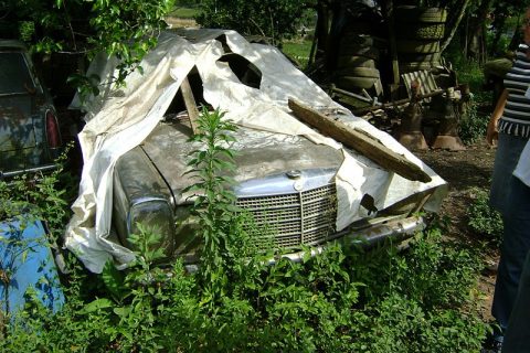 Coleção Abandonada