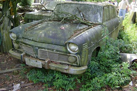 Coleção Abandonada