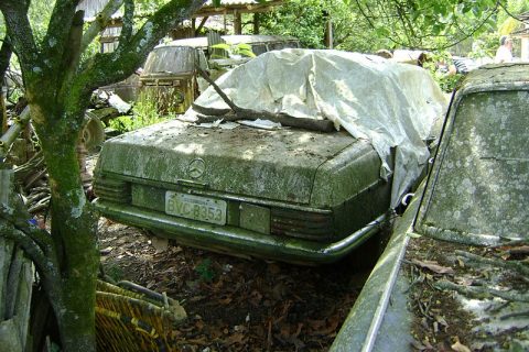 Coleção Abandonada